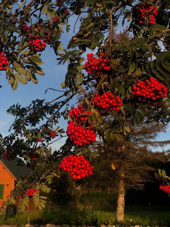 Dom Nad Morzem Ludwikowo Villa Skrzeszewo  Luaran gambar